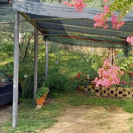 Ca' Mirta Apartamento Caprino Veronese Exterior foto